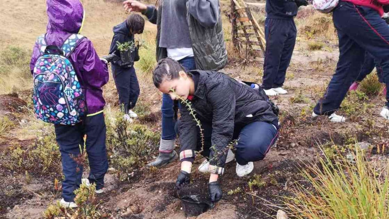 La educación ambiental es indispensable para par lograr la mitigación del cambio climático. Foto: archivo / Semana.