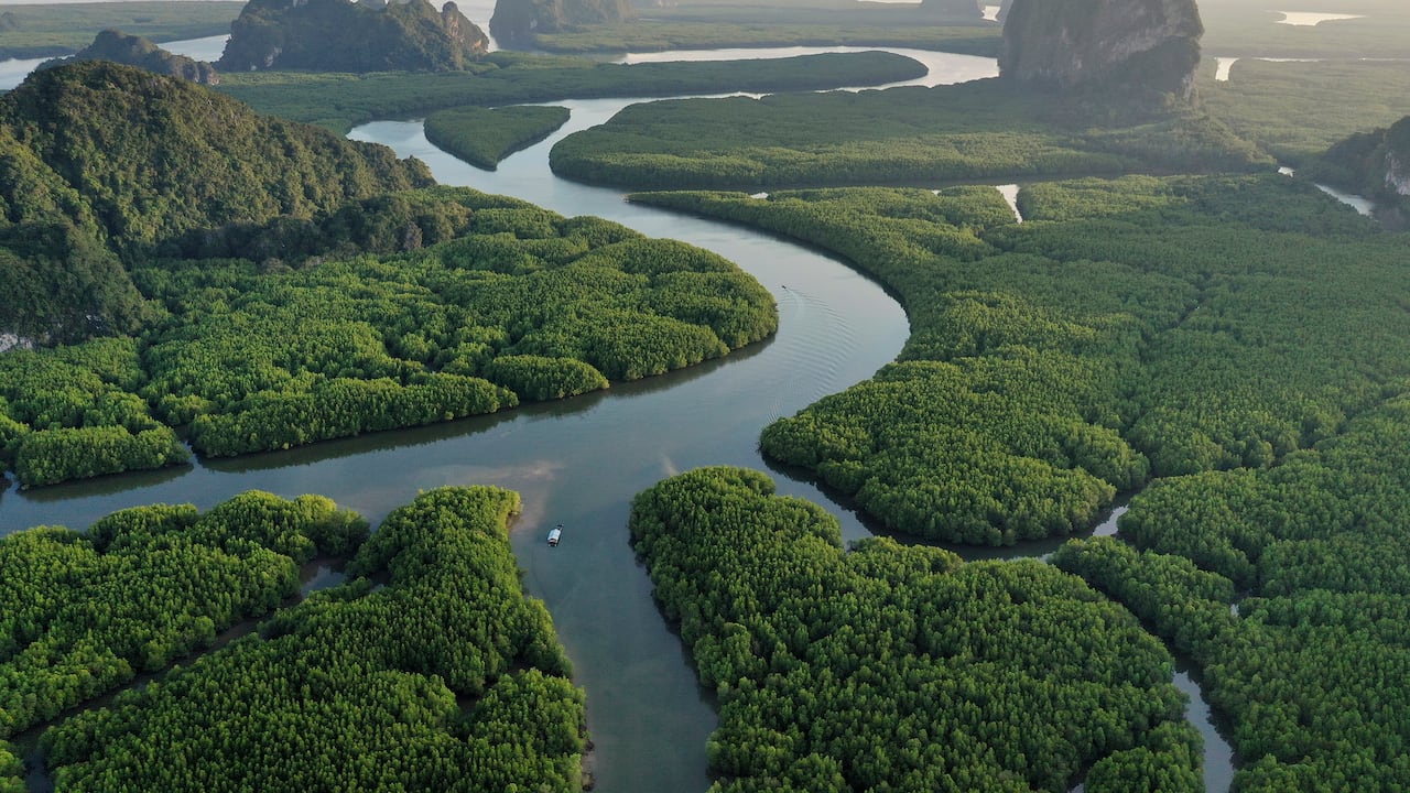 un viaje hacia lo profundo de la naturaleza en el sudeste asiático continental. Phang nga al atardecer. Tailandia.