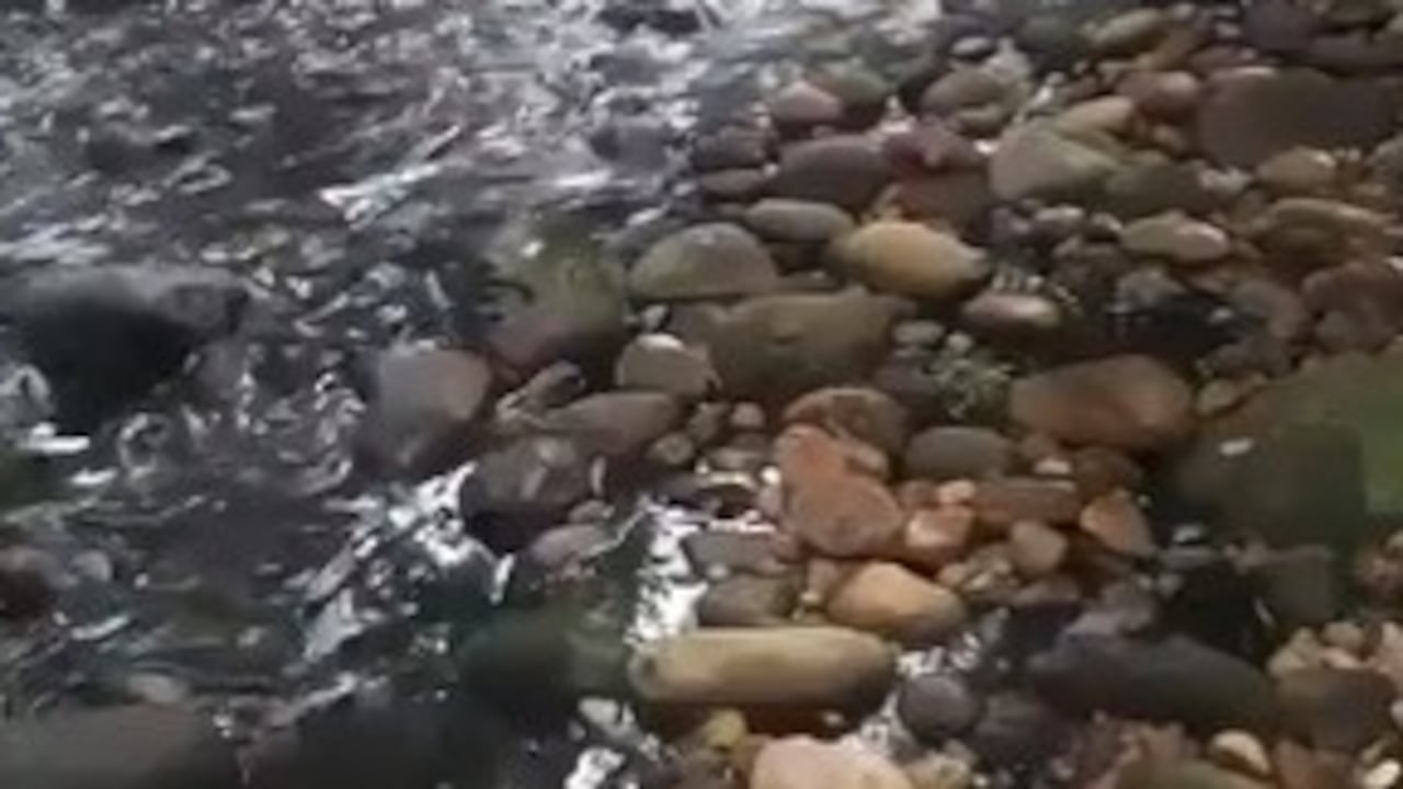 Atentado en Cubara - Boyacá.