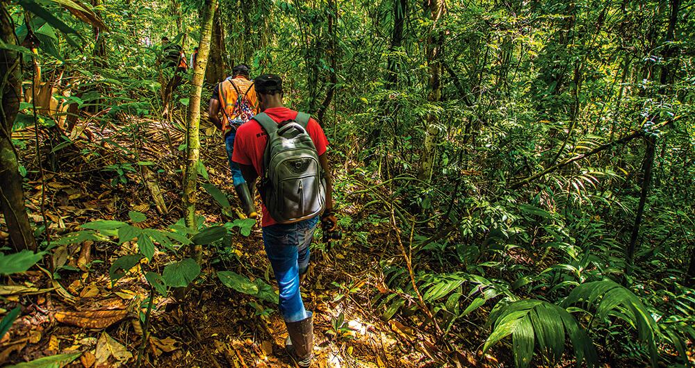 El ELN y el Clan del Golfo tienen el afán de aumentar el número de personas en sus filas por la guerra que sostienen en el Chocó.