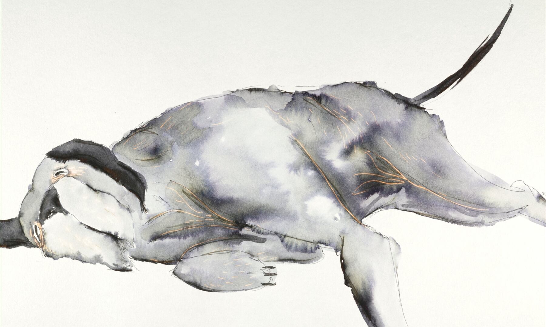 La perra no es eterna...