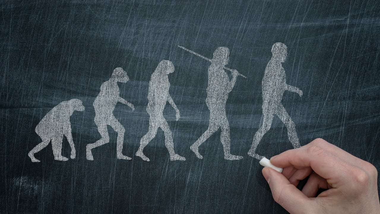 Estos cuadernos fueron llenados por Darwin luego de regresar de su viaje por el mundo a bordo del HMS Beagle, y donde acuñó por primera vez algunas ideas de su obra cumbre: El Origen de las Especies.