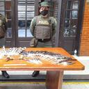 Las partes de estas especies iban a ser enviadas a través de encomienda hacia Estados Unidos. Foto: SDA