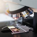 Un descubrimiento en antiguas formaciones rocosas abrió nuevas preguntas sobre el origen de la vida compleja.