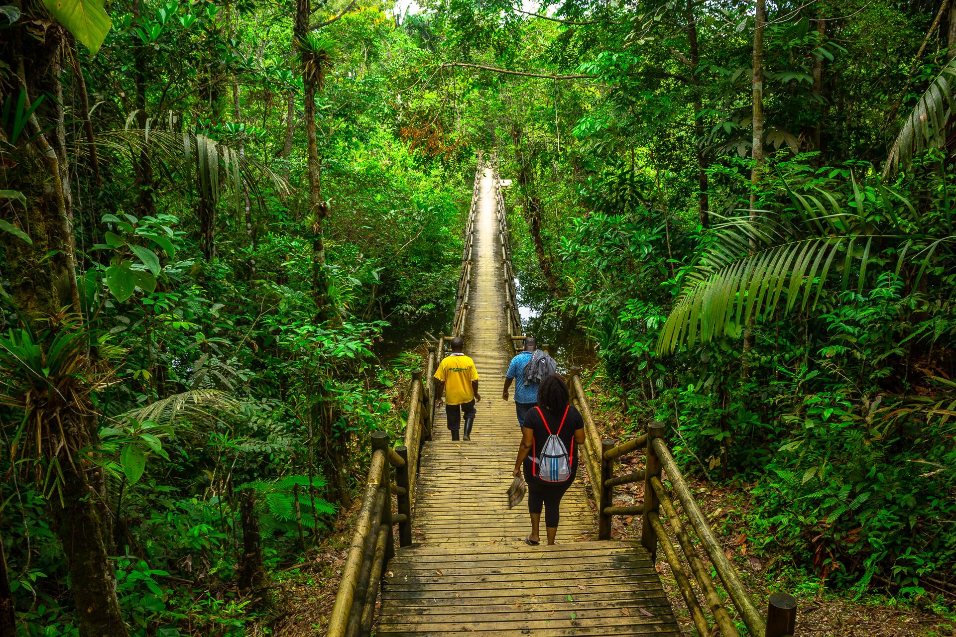 CEMEX, una de las principales empresas en la industria de la construcción, ha dado un paso decisivo hacia un futuro más verde y responsable a través de su estrategia global ‘Futuro en acción’. 