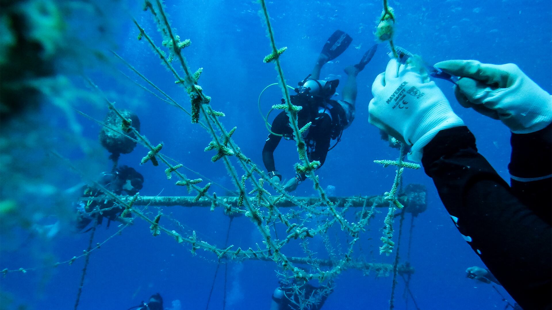 NO USAR, USO EXCLUSIVO MEJOR COLOMBIA, especial minambiente, Logros 2