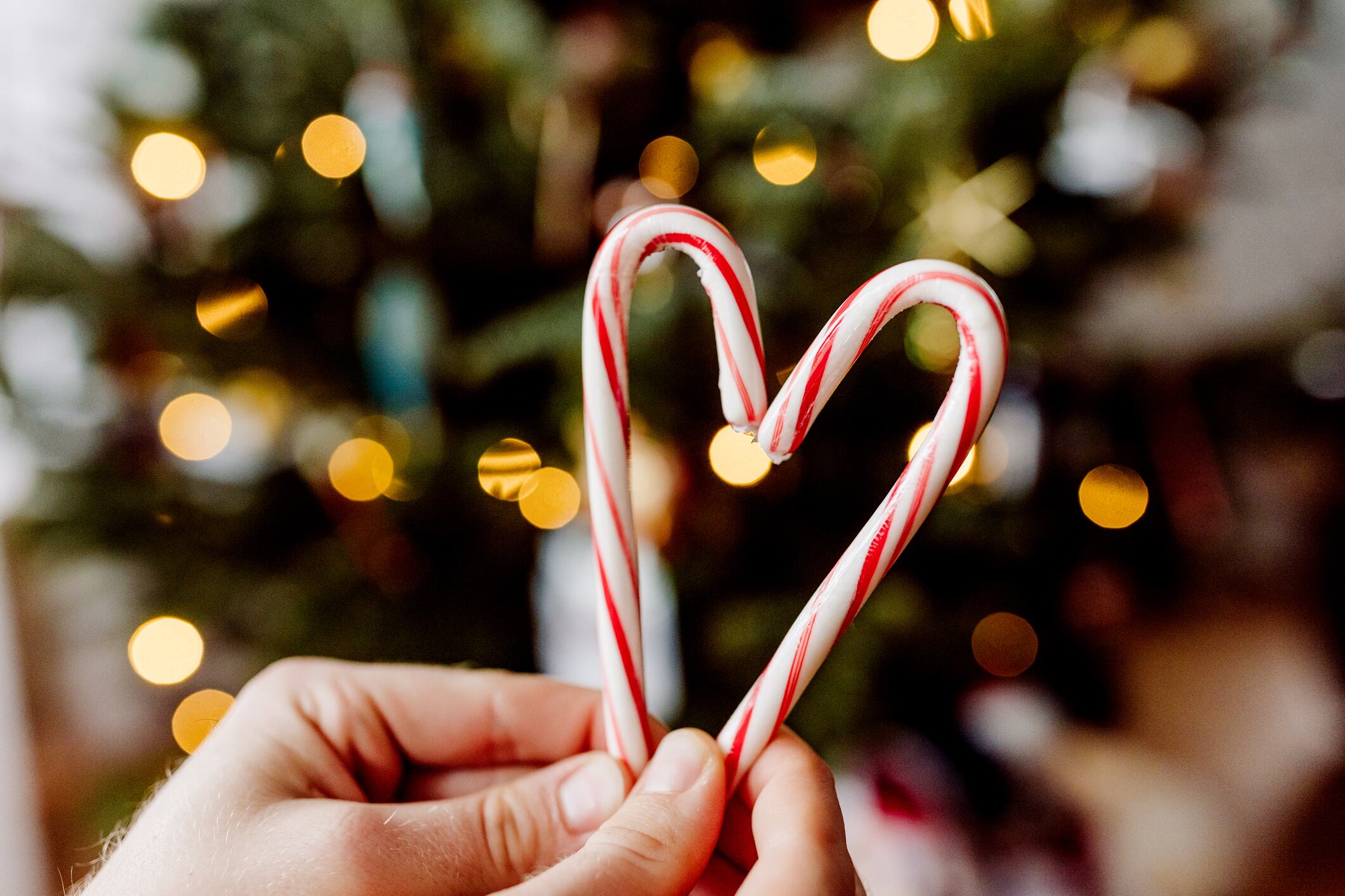 Muchas personas esperan encontrar el amor en el mes de diciembre del 2025.