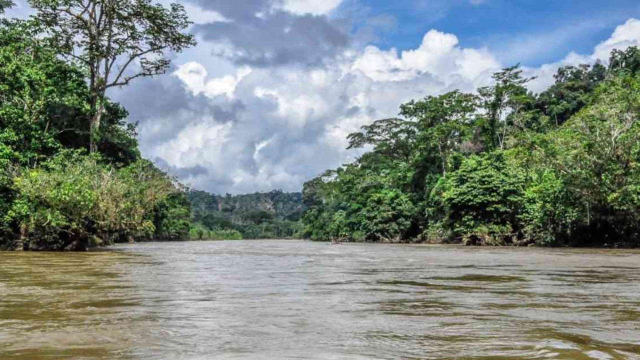 Entre 2018 y 2019, el Parque Paramillo perdió 1.254 hectáreas de bosque. Foto: PNN.