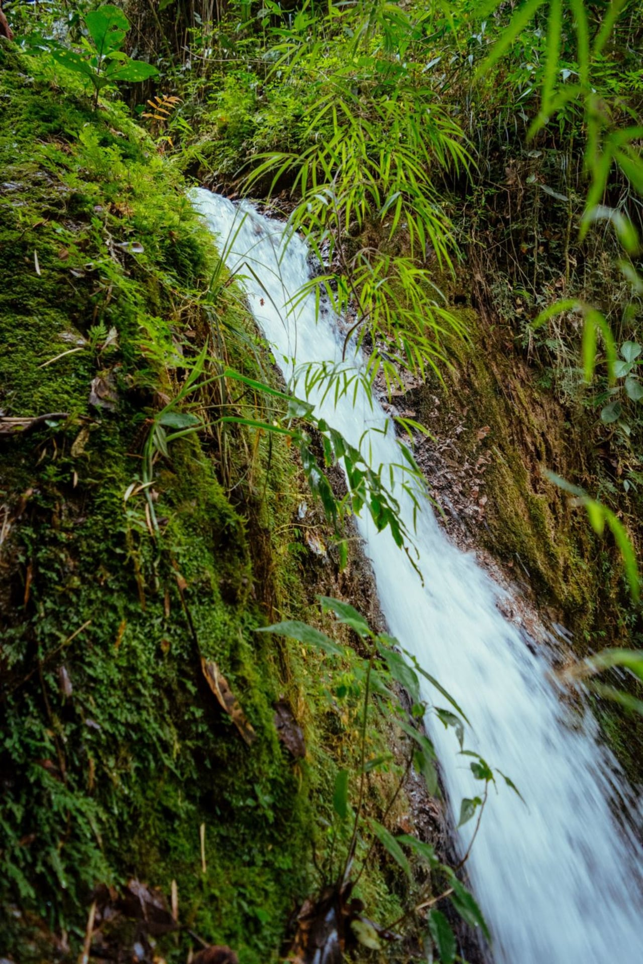 cascadas san Joaquín santander