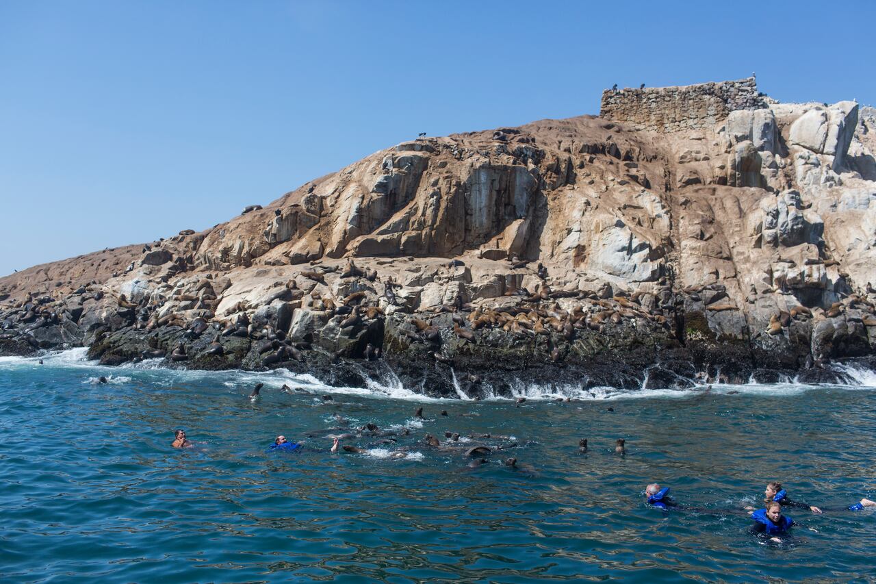 Islas Palomino.