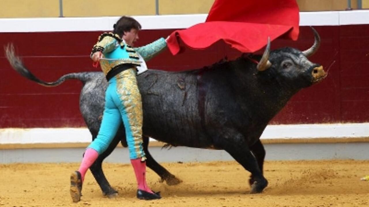 El tribunal consideró que esto contradice lo establecido en la Constitución.