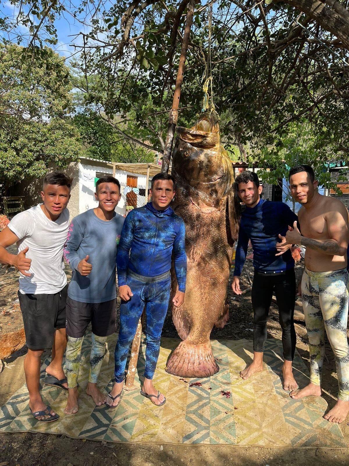 Pez Mero de 300 kilos atrapado en el Atlántico