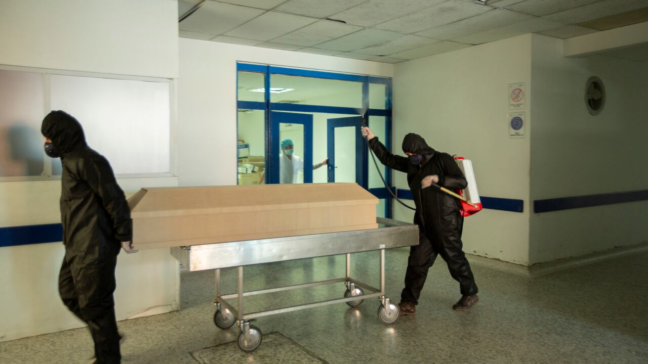 Una nueva modalidad reemplazaría el entierro y la cremación de cadáveres en Estados Unidos.