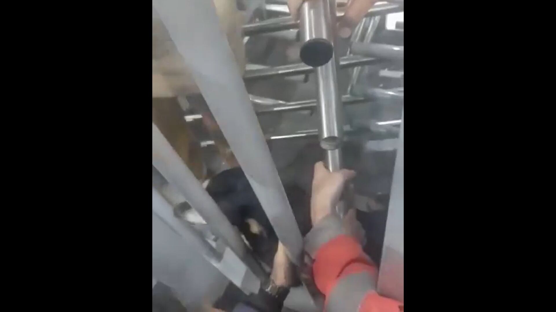 Olarte había llegado hace poco a la ciudad, pues es oriunda de Bucaramanga,  y junto a la perrita de 14 años, era la primera vez que ingresaban a TransMilenio.