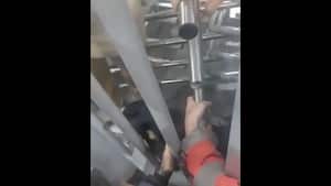 En medio de la situación varios de los que presenciaron el hecho manifestaron la alerta y Nandi Olarte, la dueña de la mascota, comentó a El Tiempo, que todo ocurrió cuando iba a recoger a su hijo que estaba en una clase extracurricular, en compañía de su madre. Foto: X @ultimahoracol_