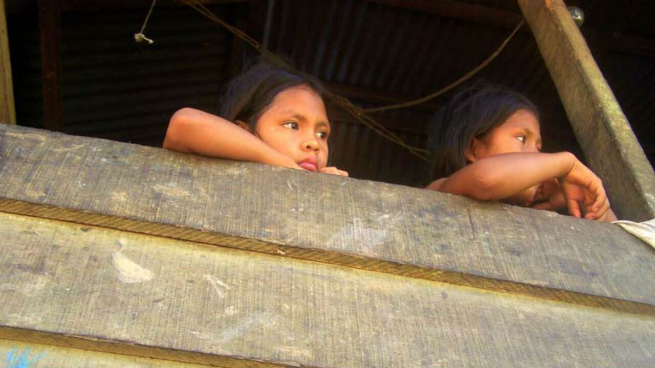 700 estudiantes pertenecientes a ocho etnias indígenas de la Amazonía son los beneficiados con esta iniciativa.