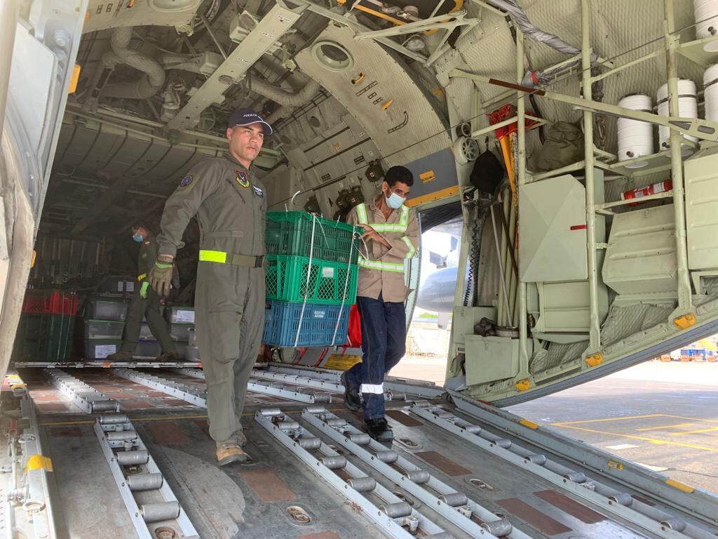 Las especies fueron llevadas a Cartagena y Santa Marta