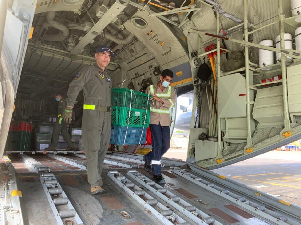 Las especies fueron llevadas a Cartagena y Santa Marta