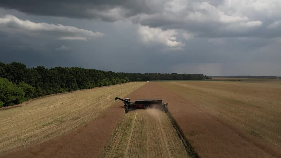 Agricultor ucraniano teme lo peor tras el colapso del acuerdo de cereales