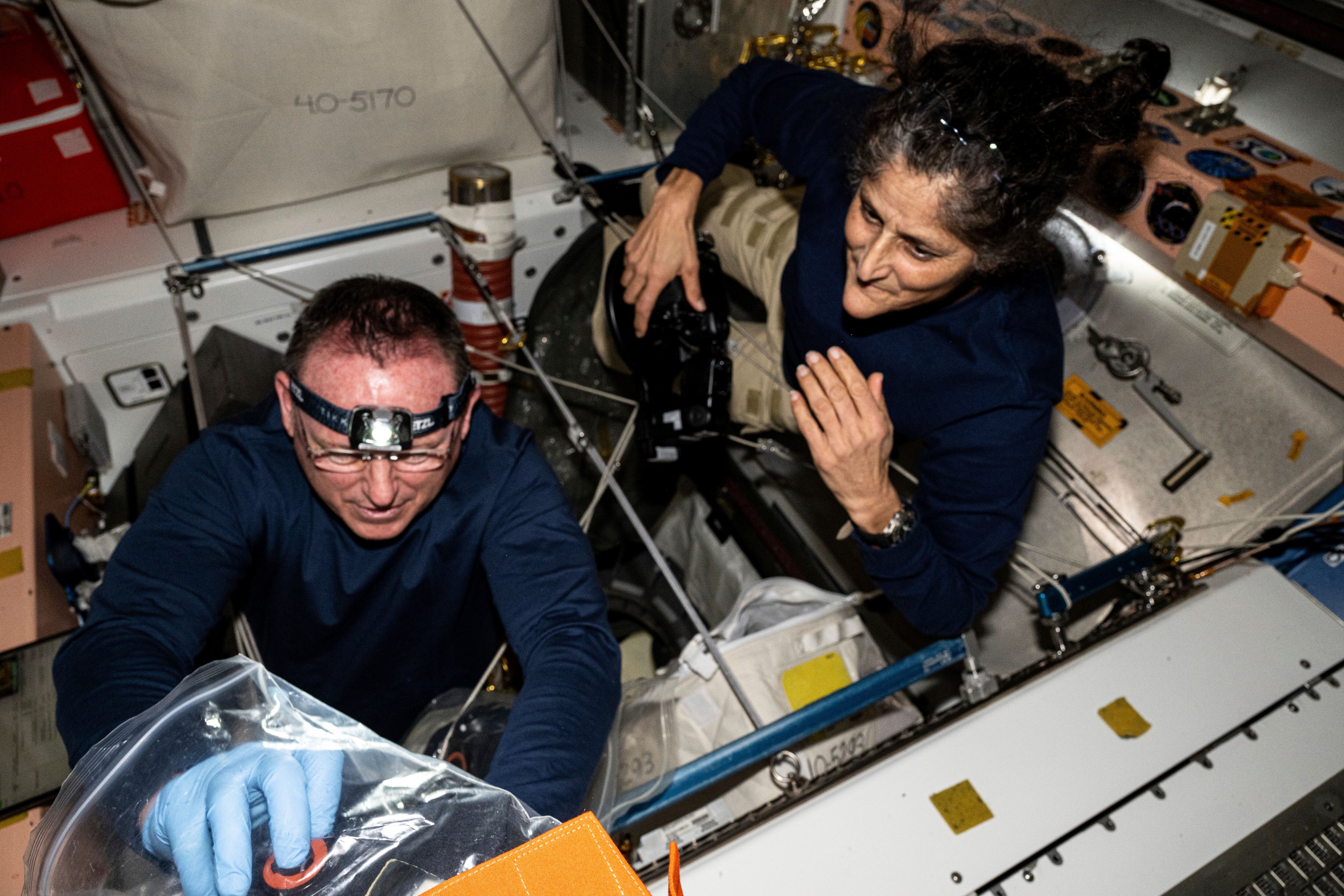 En esta fotografía proporcionada por la NASA, los astronautas Butch Wilmore, izquierda, y Suni Williams inspeccionan el hardware de seguridad a bordo de la Estación Espacial Internacional el 9 de agosto de 2024. (NASA vía AP)