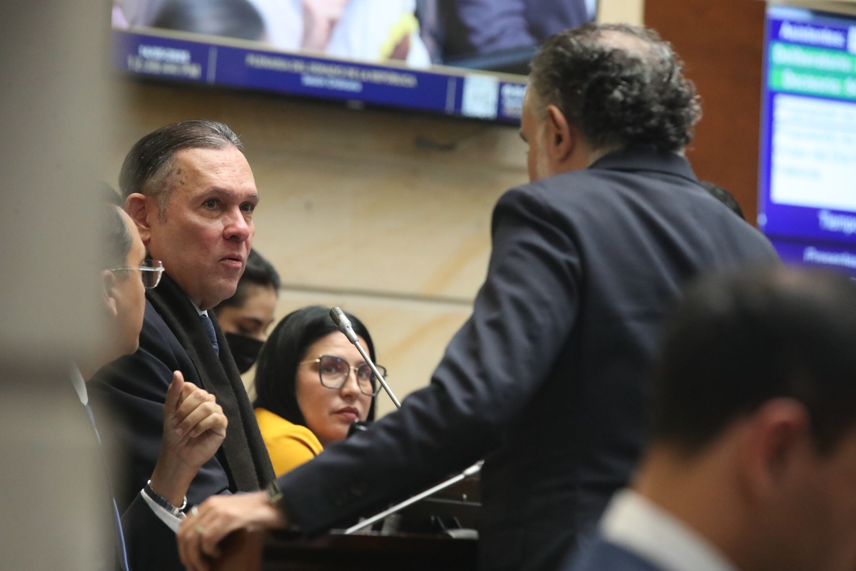 Plenaria Senado, consulta popular