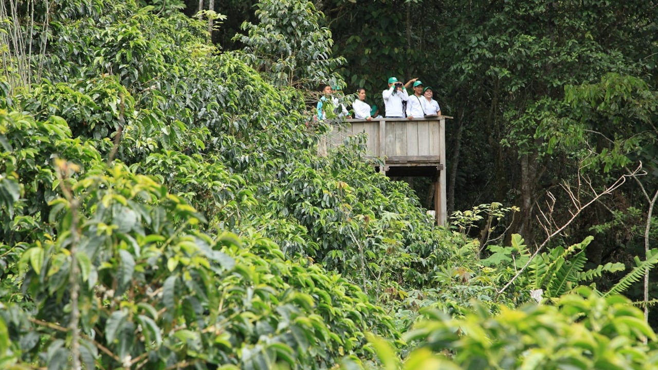 Áreas protegidas del Huila