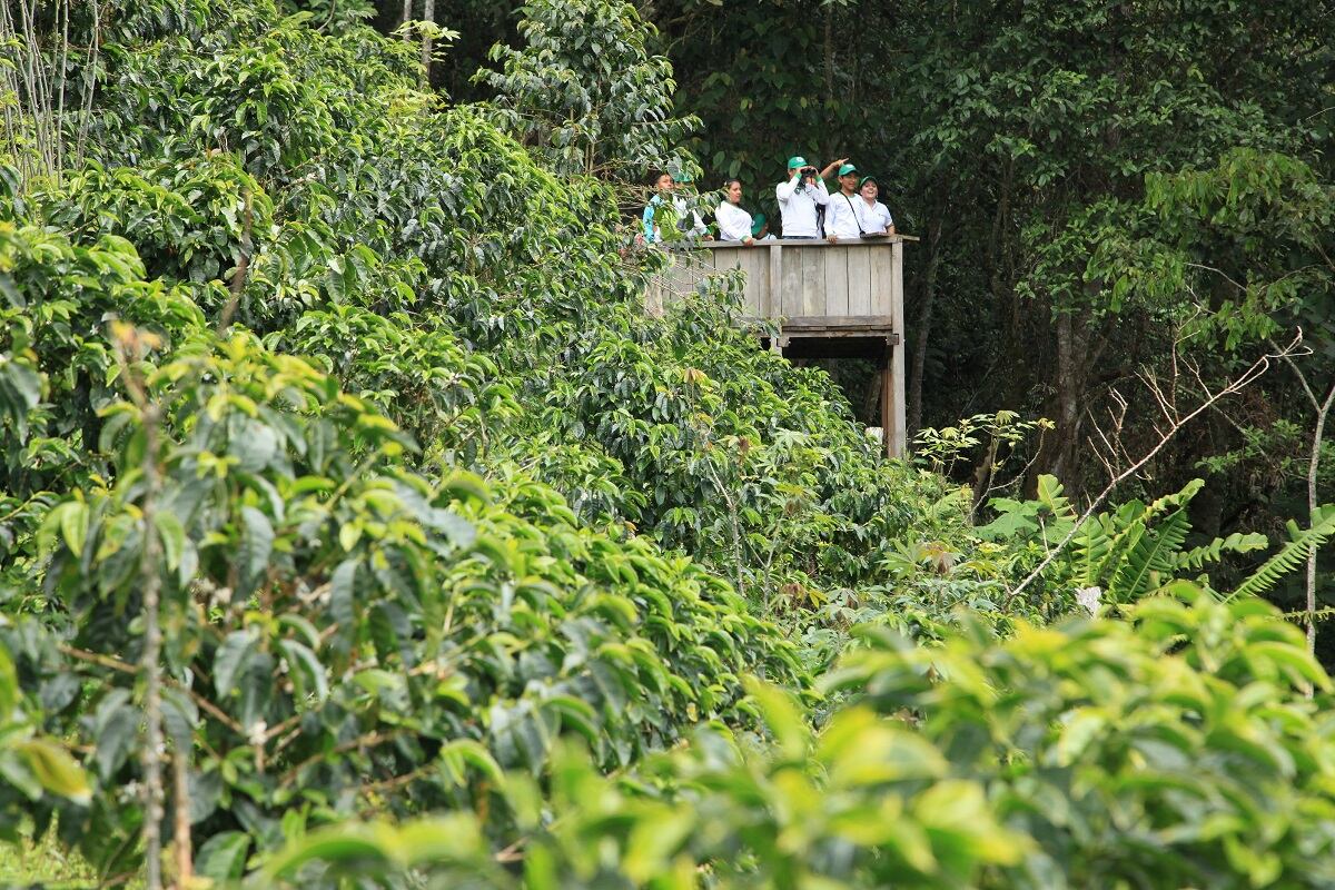 Áreas protegidas del Huila