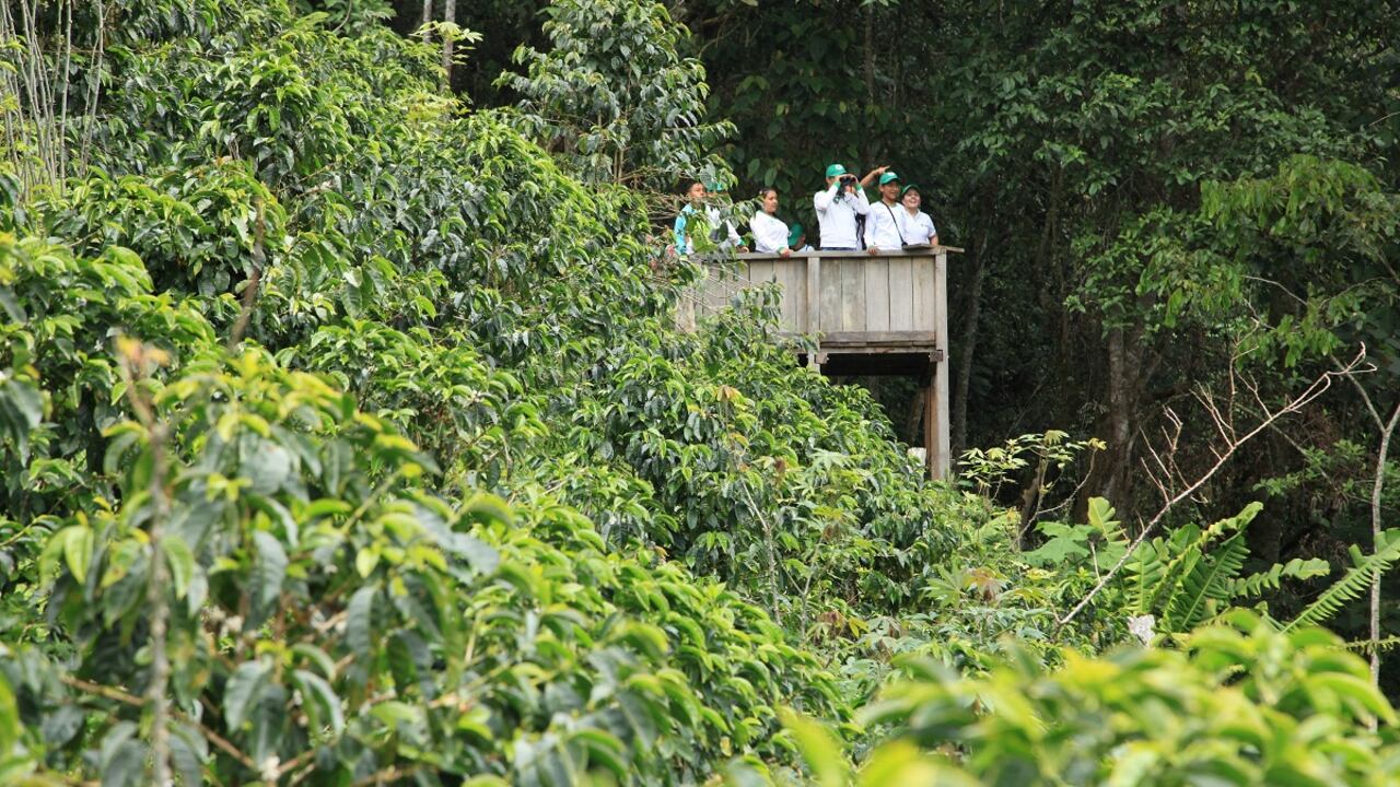 Autoridad ambiental y comunidades trabajan en la protección y conservación de cientos de especies en el departamento.