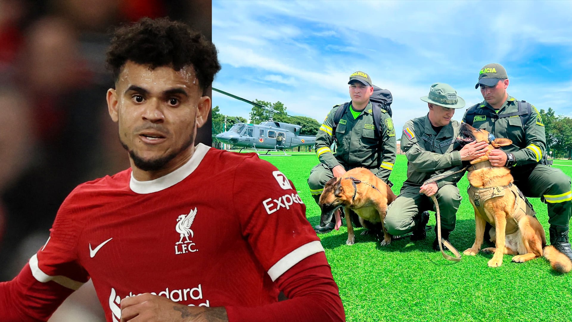 Luis Díaz Perros Policia