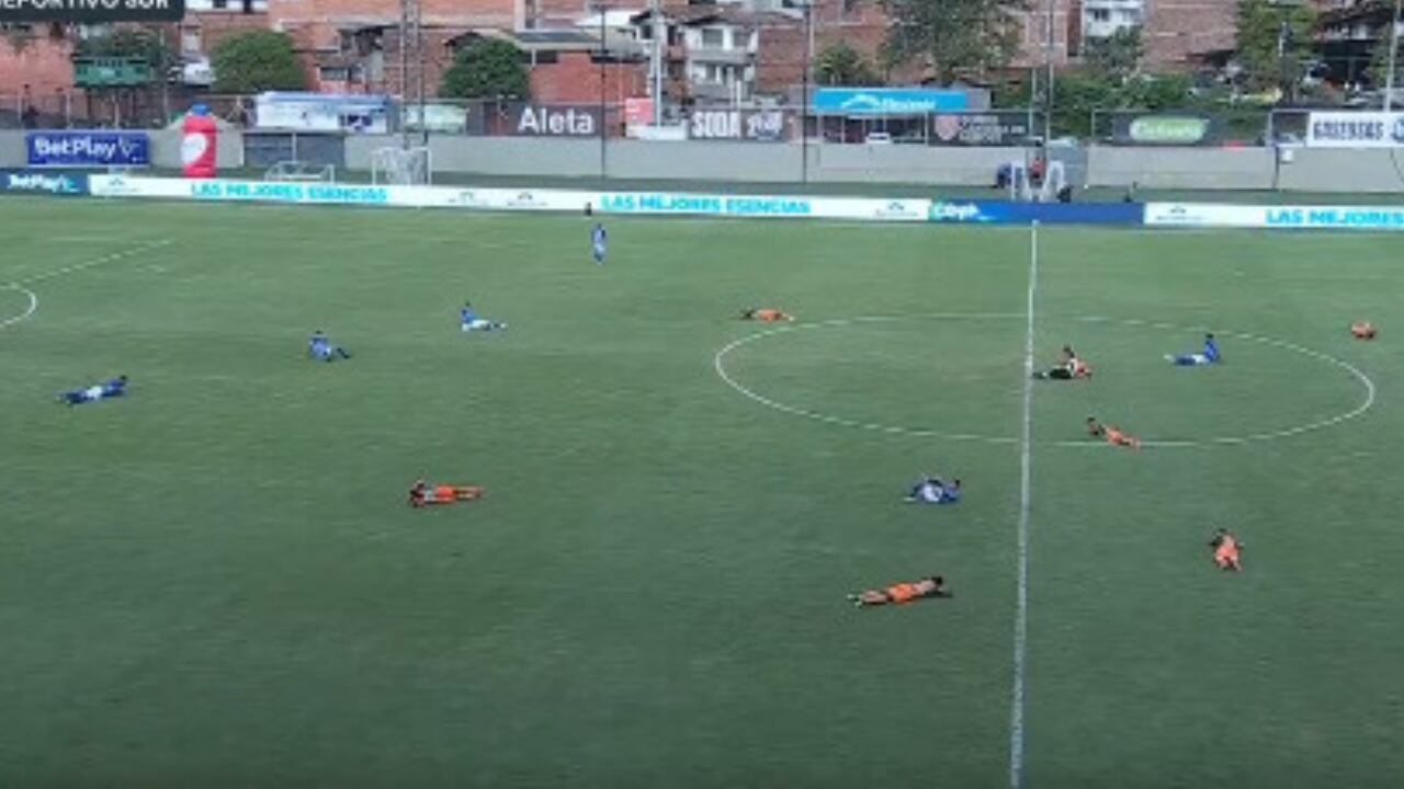 Jugadores de Envigado y Millonarios, en el suelo, ante un ataque de avispas.