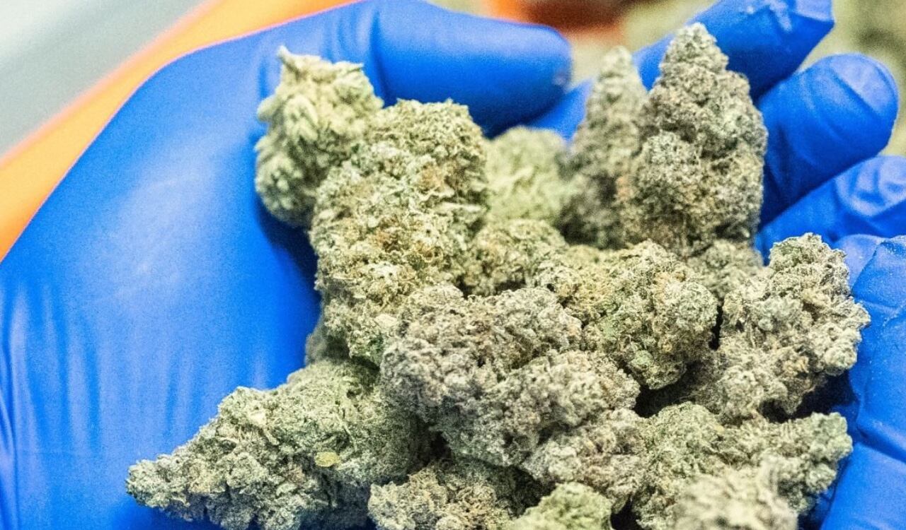 La legalización del consumo recreativo de marihuana ha sido uno de los asuntos más controversiales en el país.