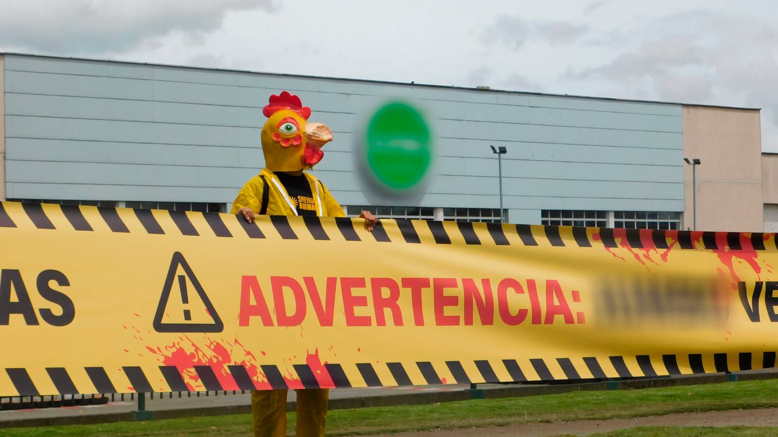 Protesta por venta de huevos de gallinas enjauladas en supermercado
