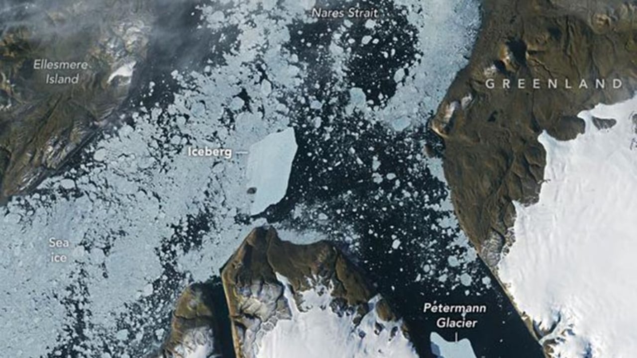Un extraño encuentro en Groenlandia puso a prueba la resistencia de un gigantesco bloque de hielo.