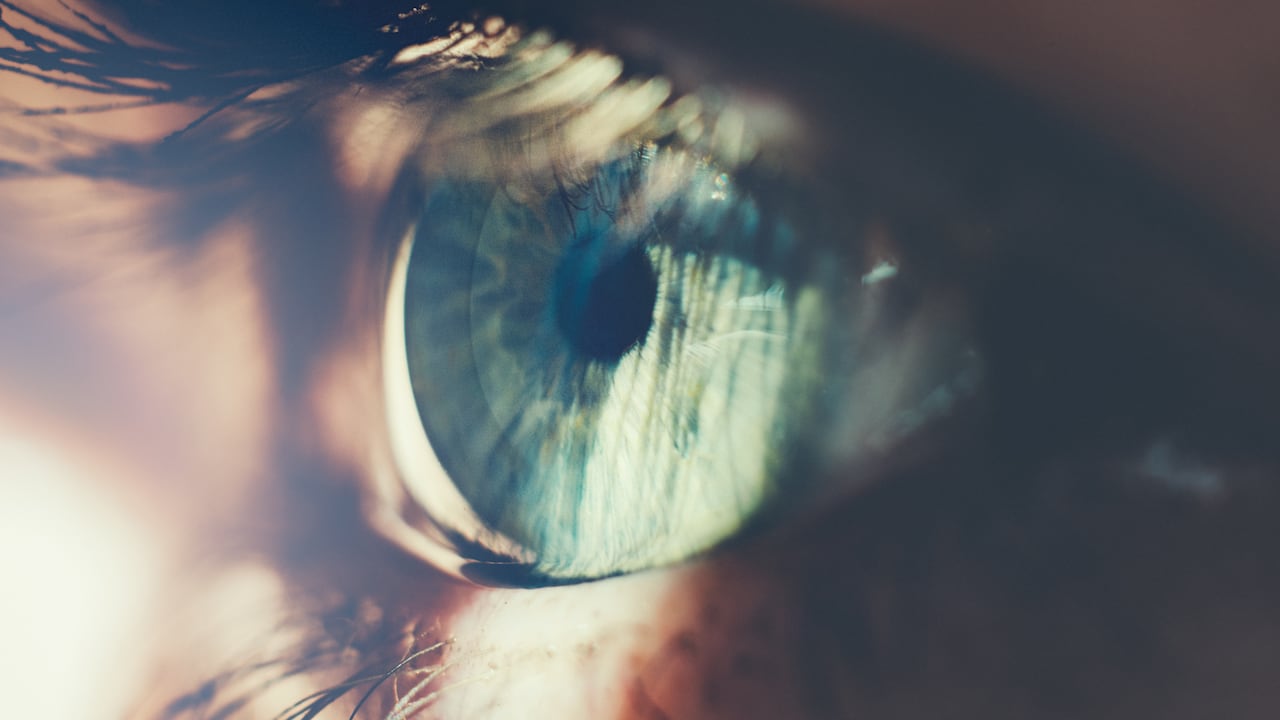 El betacaroteno que posee el melón ayuda a prevenir enfermedades visuales como las cataratas.