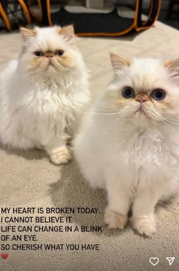 Foto: Captura de pantalla / Instagram