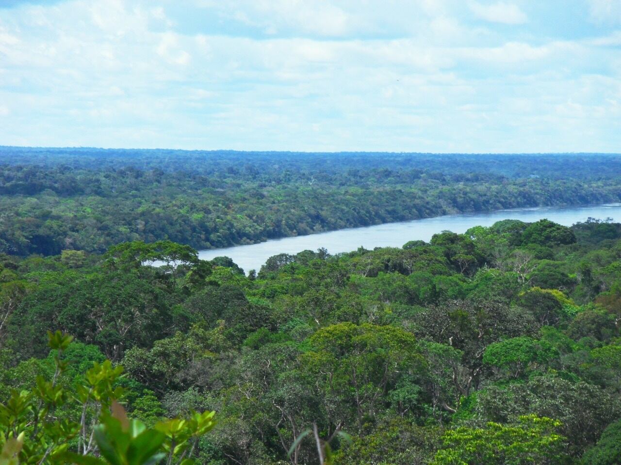 Los departamentos del Caquetá y Amazonas y el Escudo Guayanés en la región de la Orinoquia, también requieren de mayores muestreos