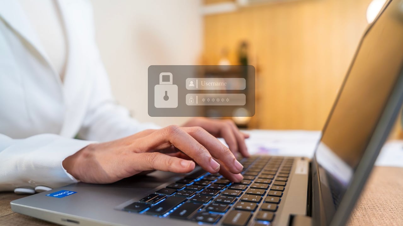 Los gestores de contraseñas se han vuelto esenciales por el aumento en el número de cuentas y claves que gestionan los usuarios.