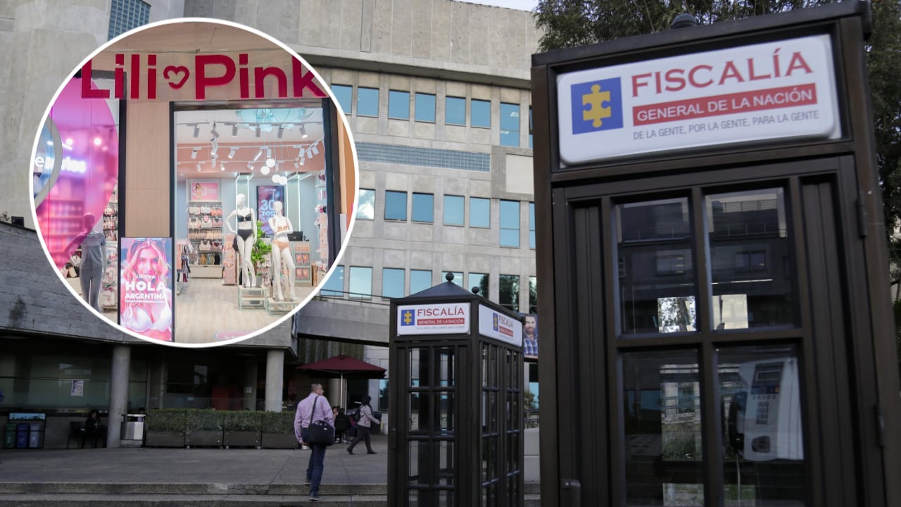 La Fiscalía ocuó, con fines de extinción del derecho de dominio, 405 locales comerciales, 40 inmuebles, 8 vehículos y una sociedad de Lili Pink.