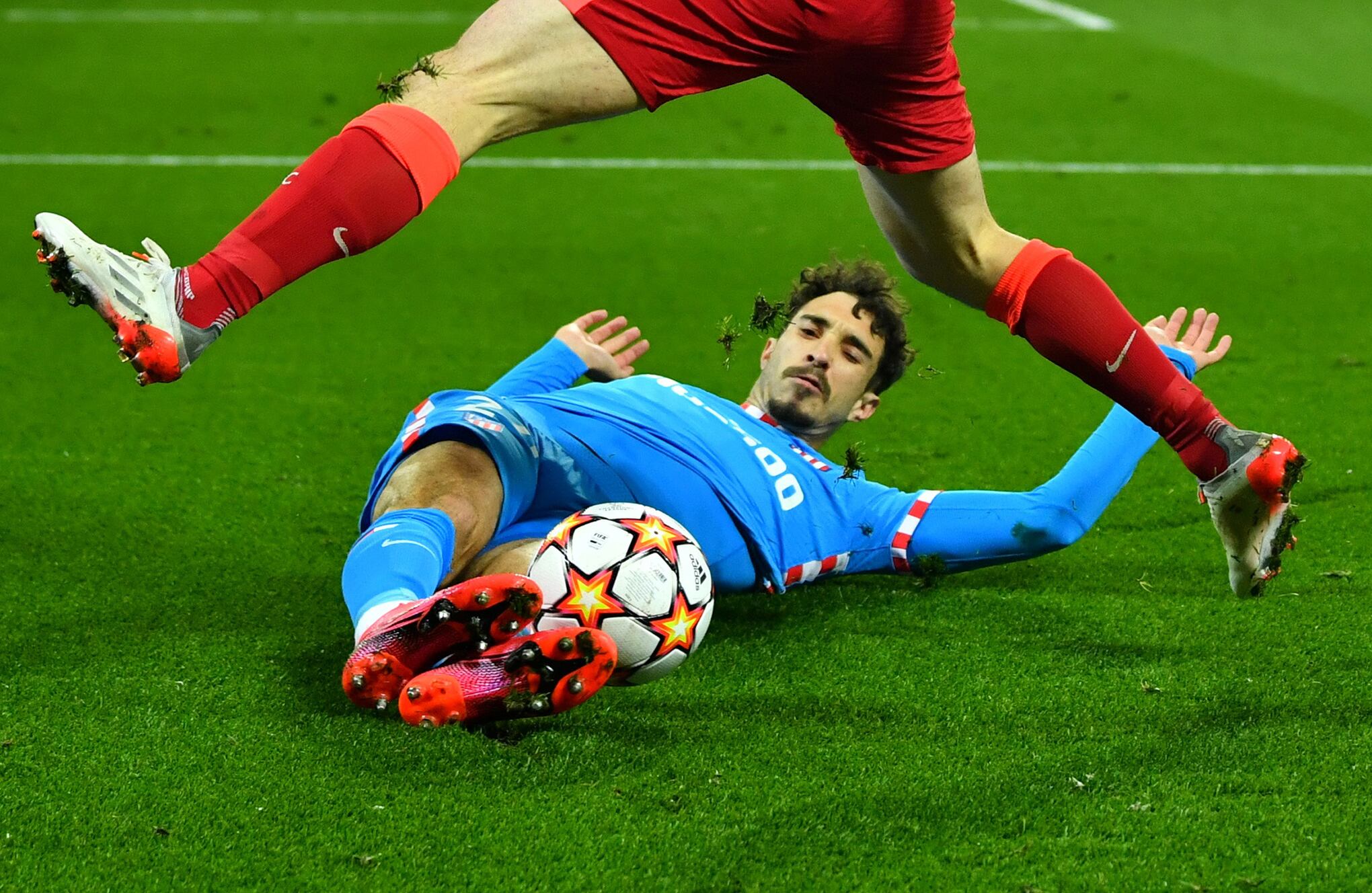 Fotos de la semana 5 nov