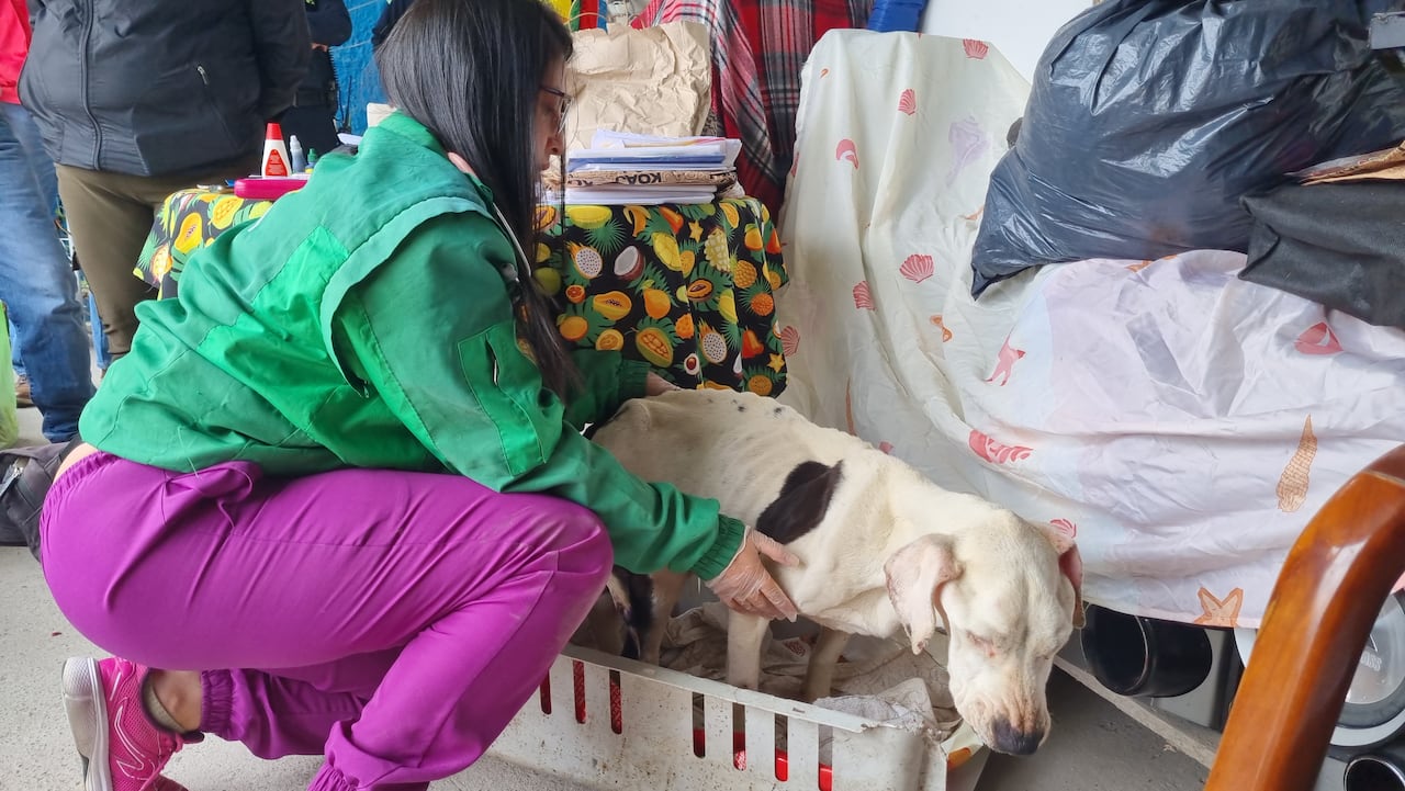 El Distrito solicitó la aprehensión material preventiva a las autoridades competentes.