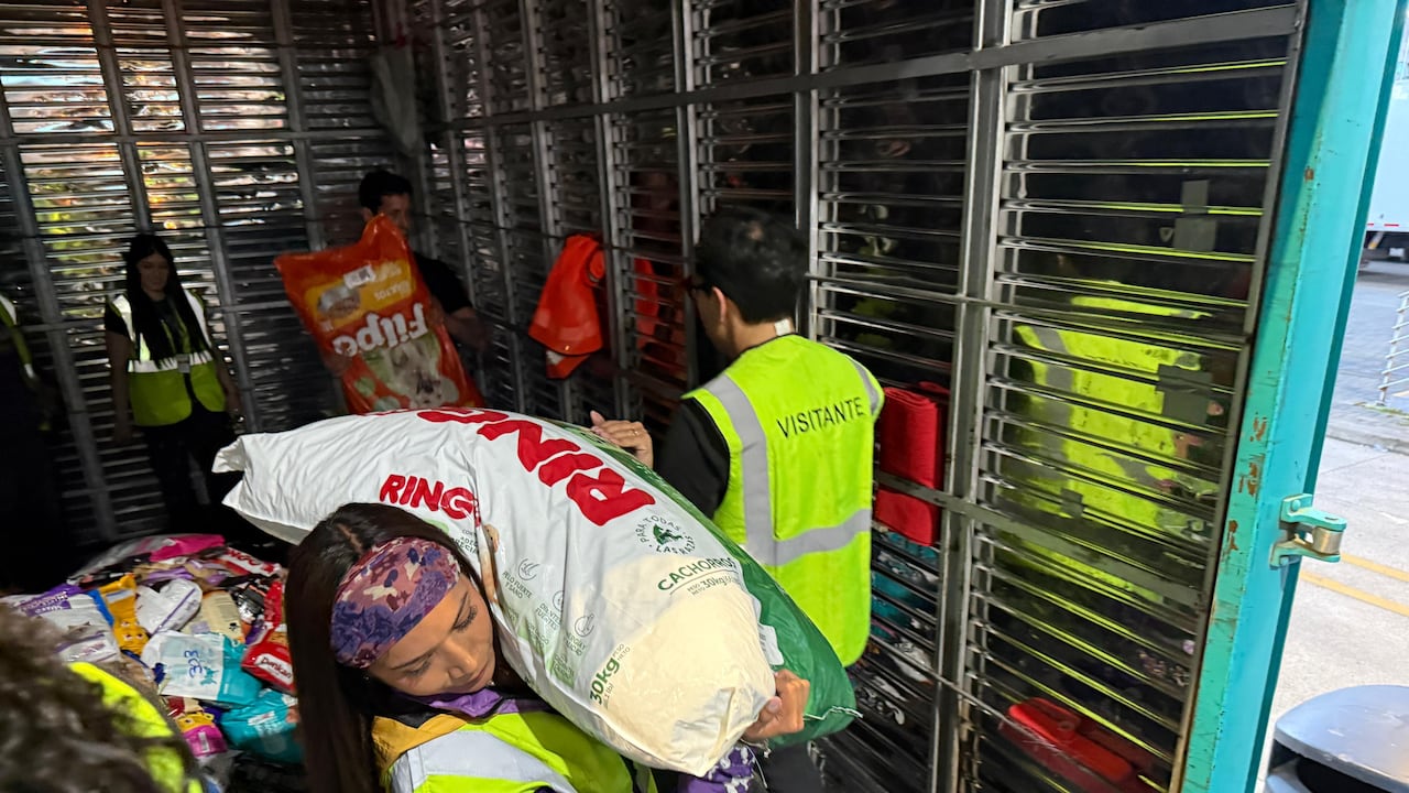 Donaciones de Laika para afectados por el terremoto.