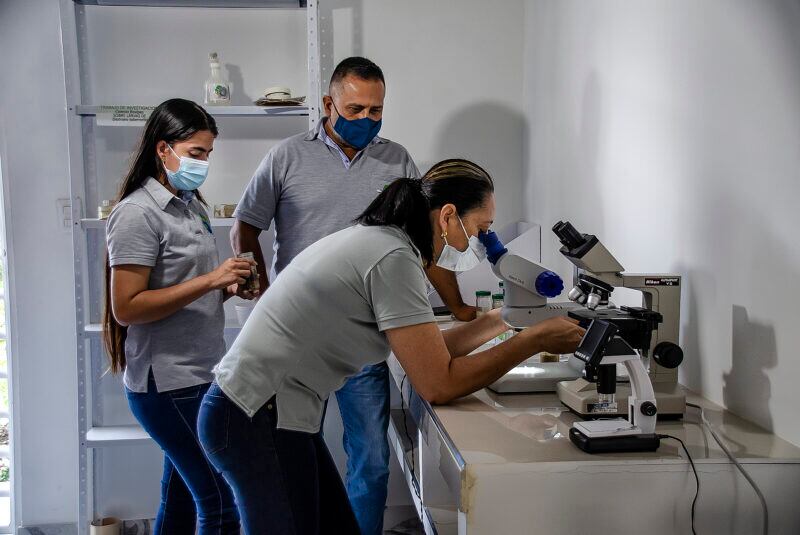 Equipo de trabajo de CorpoAma SAS