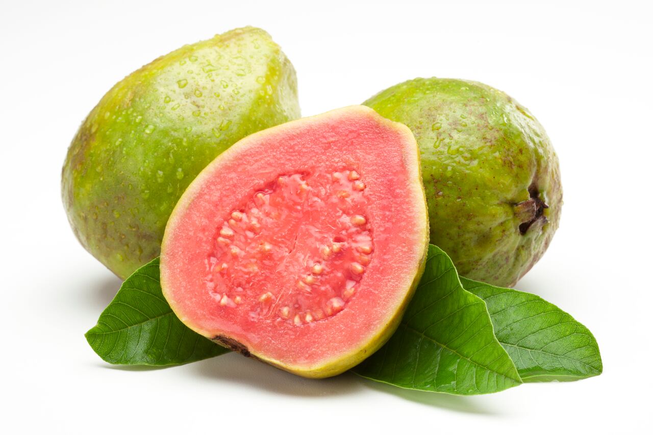 Hojas de guayaba