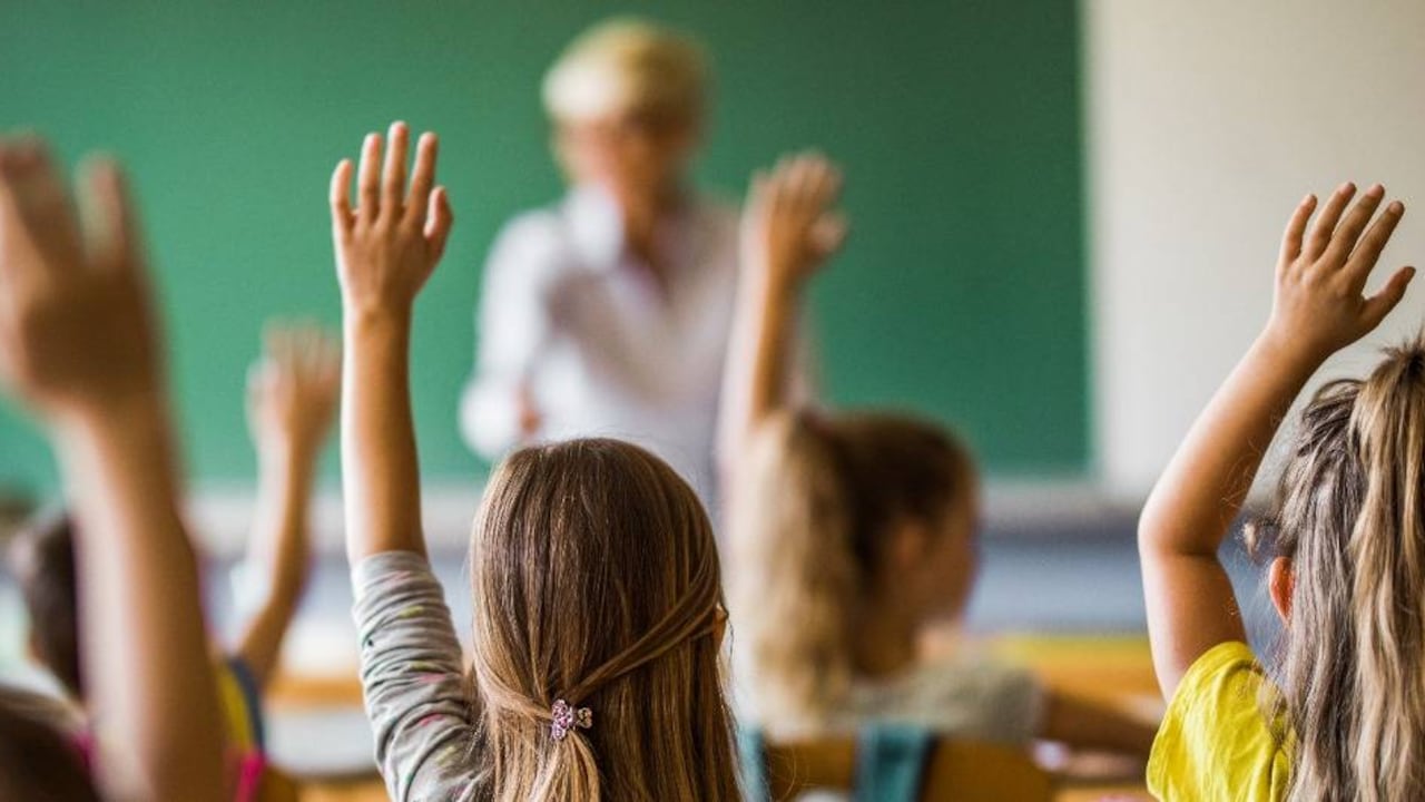 La cultura del emprendimiento no debe limitarse a habilidades que se adquieren en la universidad.