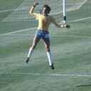 Roberto Dinamite es el actual máximo goleador en la historia del Brasileirao