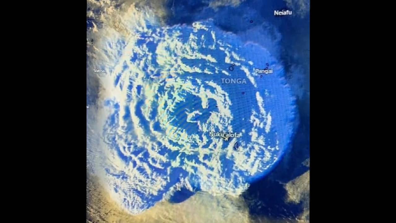 El fenómeno es calificado como un "desastre sin precedentes".