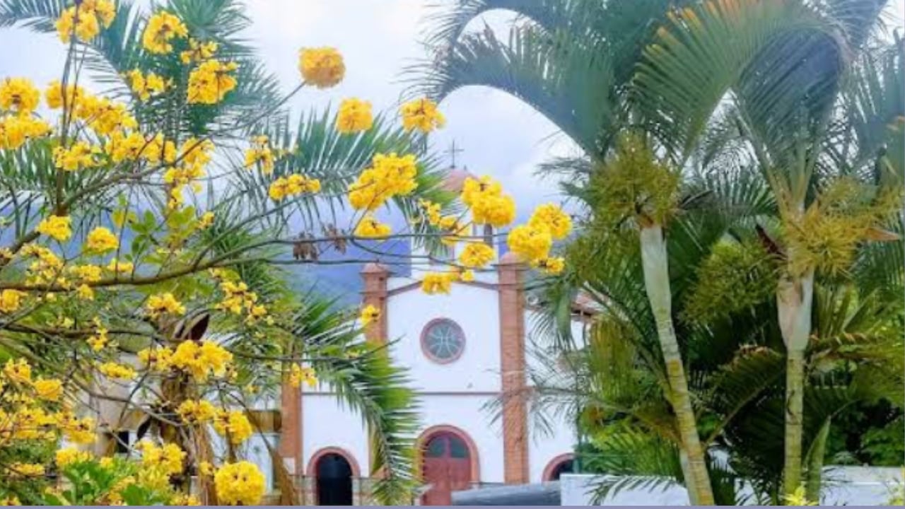 Comunidades de Caicedo y Urrao participan en actividades culturales y actos de memoria en el marco de la celebración de la noviolencia en Antioquia.
