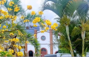 Comunidades de Caicedo y Urrao participan en actividades culturales y actos de memoria en el marco de la celebración de la noviolencia en Antioquia.