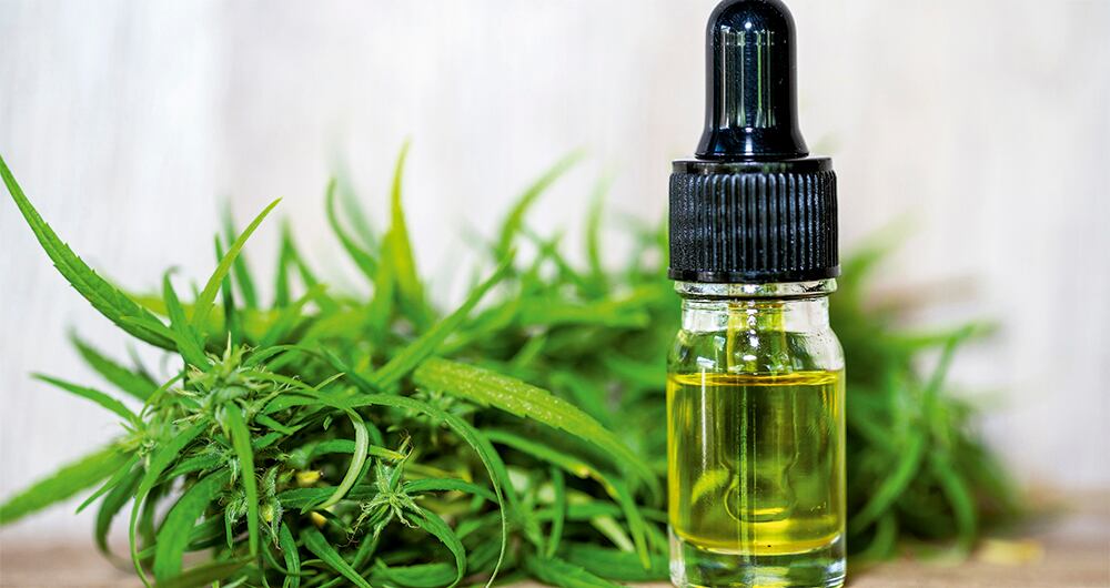 Ahora sí, llegó la hora del cannabis_6