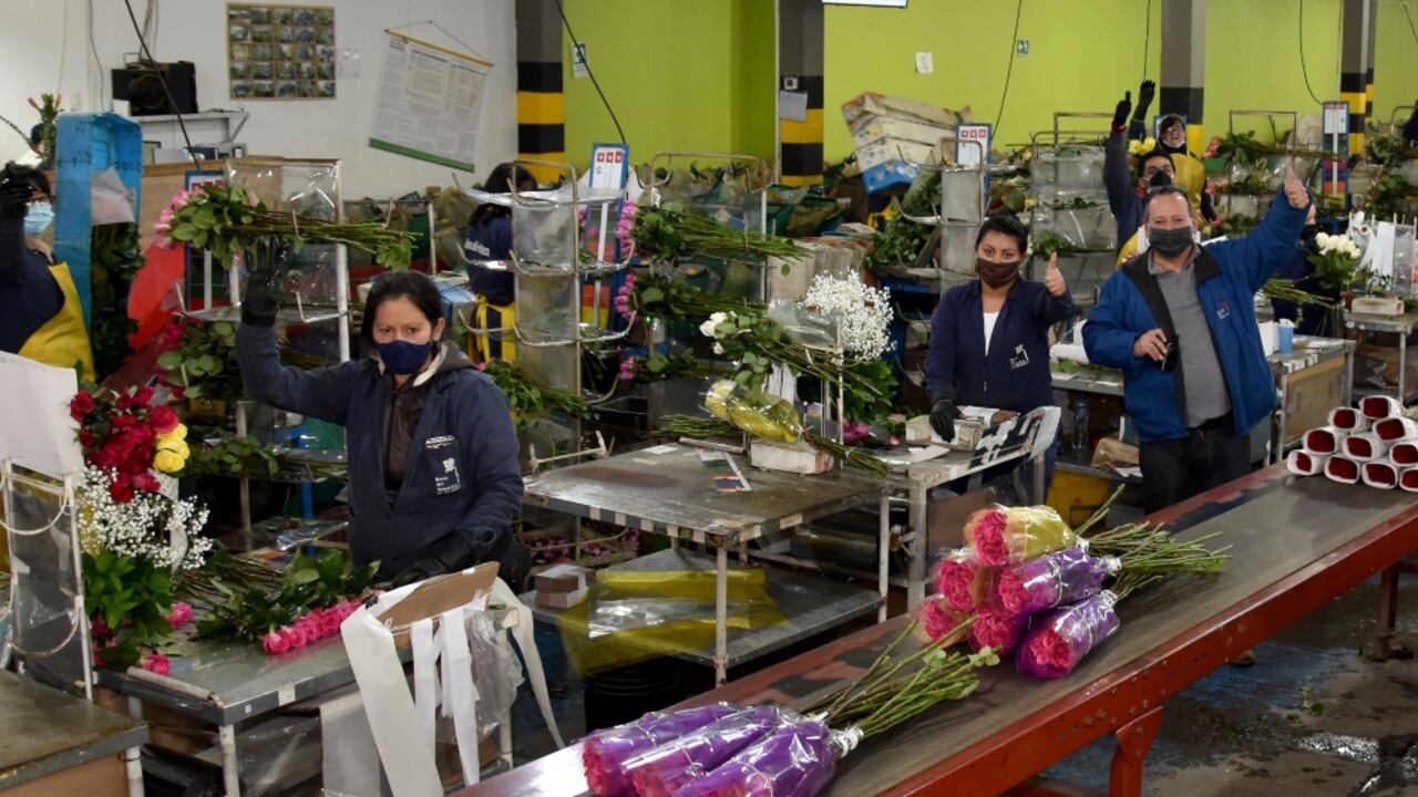 Trabajadores, empleados, industria, flores